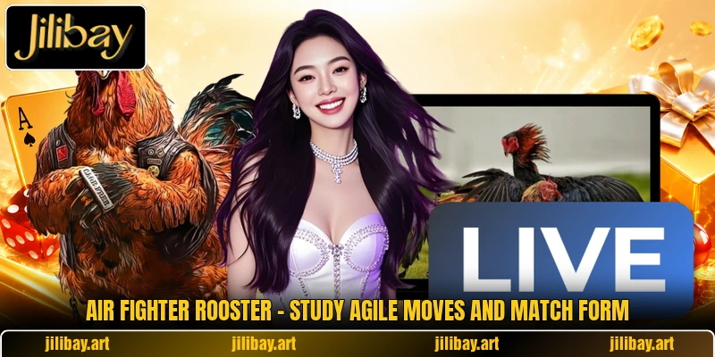 Air Fighter Rooster - Study Agile Moves And Match Form